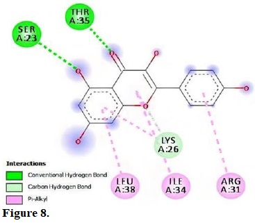 Molecular interactions of kaempferol with the residue in the gouge of Streptococcus pneumonia (2M6U).