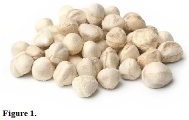 Moringa oleifera seeds.