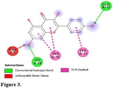 Molecular interactions of kaempferol with the residue in the gouge of Escherichia coli (IGRX).