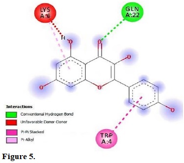 molecular interactions of kaempferol with the residue in the gouge of Klebsiella pneumonia (2RQX).