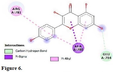 Molecular interactions of kaempferol with the residue in the gouge of Pseudomonas aeruginosa (2J5O).