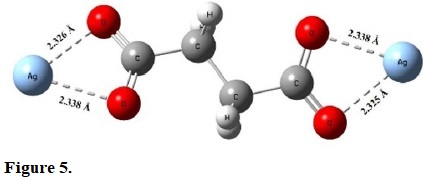 Structural formula for [Ag2(C4H4O4)] and the bond length values for the O·Ag bonds.