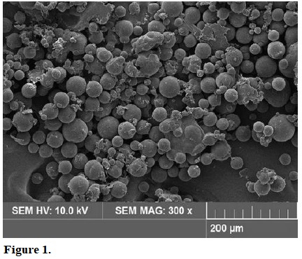 Scanning electron microscope images of the polymeric microparticles containing the nutrients NPK at 300 × magnification. SEM HV = scanning electron microscope high vacuum; MAG = magnification.