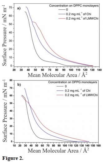 Surface pressure-area isotherms for (a) DPPC and (b) DPPG monolayers. Subphase: TS buffer pH 3.0 and 0.2 mg mL–1 commercial chitosan (Chi) and lower molecular weight chitosan (LMWChi).