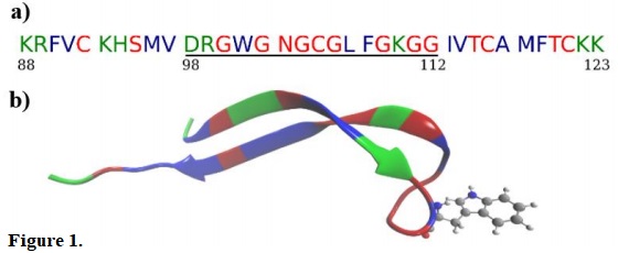 (a) Amino acid sequence of serotype II dengue virus fusion peptide (88–123); the sequence 98–112 is underlined, charged polar residues are indicated in green, hydrophobic residues are in blue and non-charged polar are in red. (b) Dengue peptide and tryptophan in new cartoon and CPK representation, respectively. Color code is the same as presented in (a). PDB ID:1OK83⁠.