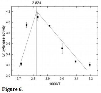 First-order Arrhenius plot showing the effect of temperature on activity of isolated Xyl_C produced by R. emersonii using beechwood xylan as substrate.