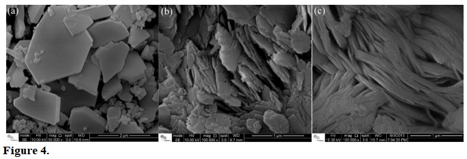 Scanning electron microscope images of stannosilicates (a) I, (b) II and (c) V.