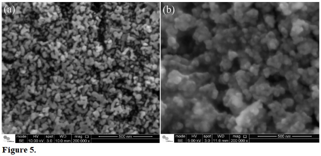 Scanning electron microscope images of stannosilicates (a) III and (b) IV.