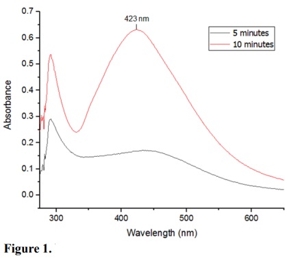 UV-VIS spectra of a freshly-prepared AgNPs-MI  suspension  after  5  min (−)  and  10  min (−)  of reaction.