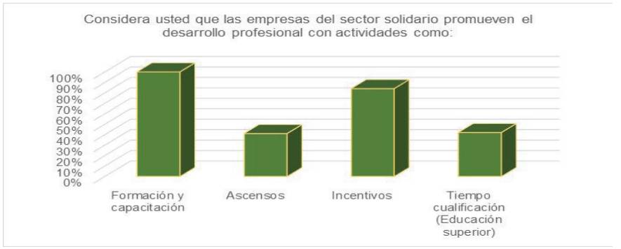 Promoci&oacute;n del desarrollo profesional