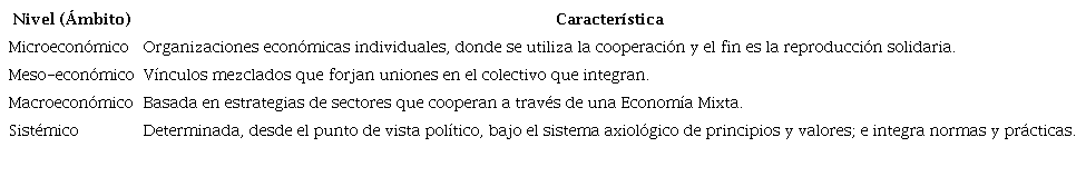 Niveles de acci&oacute;n de las empresas de econom&iacute;a solidaria (EES)