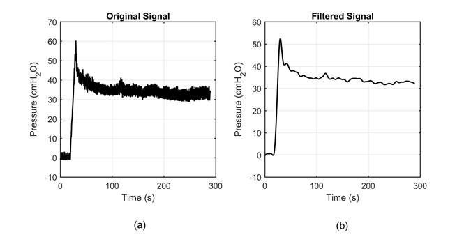 Step response of the system, in (a) the pressure obtained is presented and in (b) the filtered signal used in the identification process. A typical overshoot in systems of second order or higher can be identified