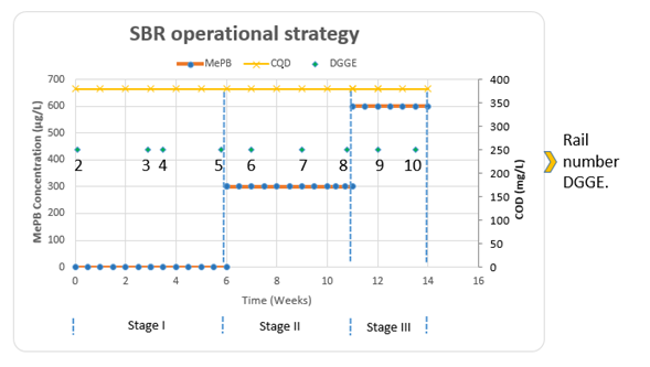 SBR operational strategy
