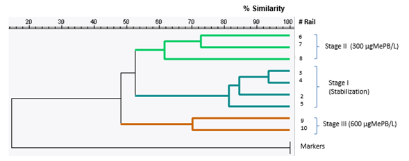 Dendrogram of Molecular Microbiology samples