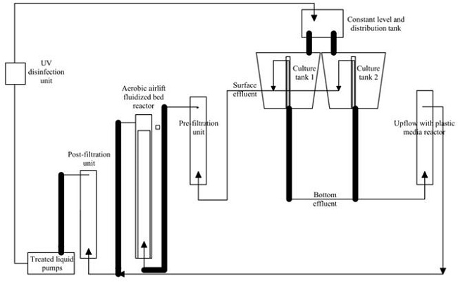 Schematic view of the RAS components and water flow