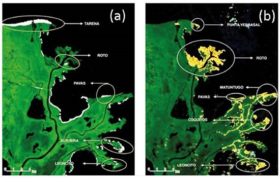 Erosion and progradation in the Atrato River delta: A spatiotemporal ...