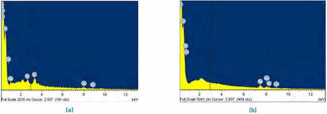EDS spectra of residual biomass of plantain (a) before and (b) after Ni (II) adsorption