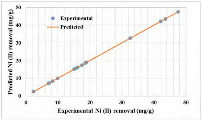 Relationship between predicted and experimental data for Ni (II) adsorption
