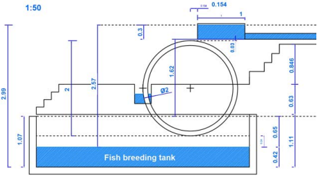 Implantation scheme in the fish breeding tank by Rui Oliveira