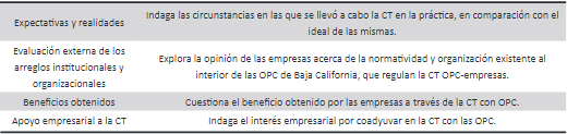 Dimensiones del protocolo de entrevista