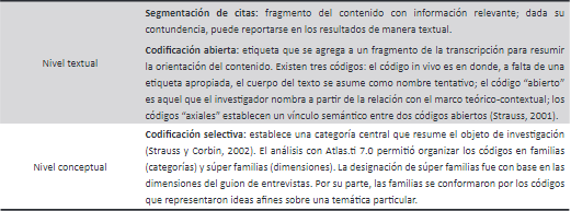 Niveles de análisis de información cualitativa