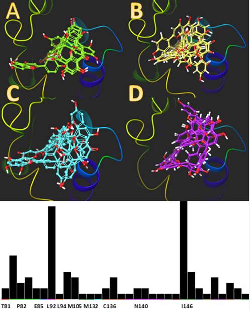 Knowledge-based consensus using protein ligand interaction
								fingerprints (PLIFs) and the results of three independent docking
								runs using different software. A) Results from LeDock. B) Results
								from ICM. C) Results from PLANTS. D) Results from MOE. E) Consensus
								interactions.