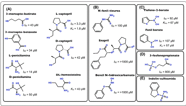 Representación de los inhibidores de DapE. (A) derivados de tioles.
							(B) derivados de fenil. (C) derivados de boratos. (D) derivados de
							fosfatos. (E) derivados de indol sulfonamidas. I50 es la constante de inhibición aparente, la concentración
							del inhibidor que produce el 50% de la inhibición y Kic es la constante de inhibición competitiva, la constante de
							disociación del complejo enzima-inhibidor. Elaborada por los
							autores.