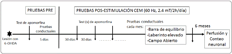 Dise&ntilde;o experimental. Elaboraci&oacute;n personal.