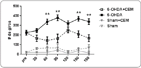 Giros contralaterales al lado lesionado. Promedio &plusmn; EEM del n&uacute;mero de
							giros inducidos por apomorfina antes de iniciar la estimulaci&oacute;n (pre) y
							a los 30, 60, 90, 120, 150 y 180 d&iacute;as despu&eacute;s de la estimulaci&oacute;n con
							CEM. Los animales lesionados mostraron un aumento en el n&uacute;mero de giros
							respecto a su nivel basal (*p < 0.05). Al comparar los animales con
							6-OHDA contra los 6-OHDA + CEM, se observaron diferencias
							estad&iacute;sticamente significativas a los 2, 3, 5 y 6 meses (**p < 0.01).
							Elaboraci&oacute;n personal.