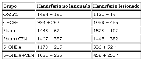 Neuronas dopamin&eacute;rgicas TH+ de los grupos experimentales.