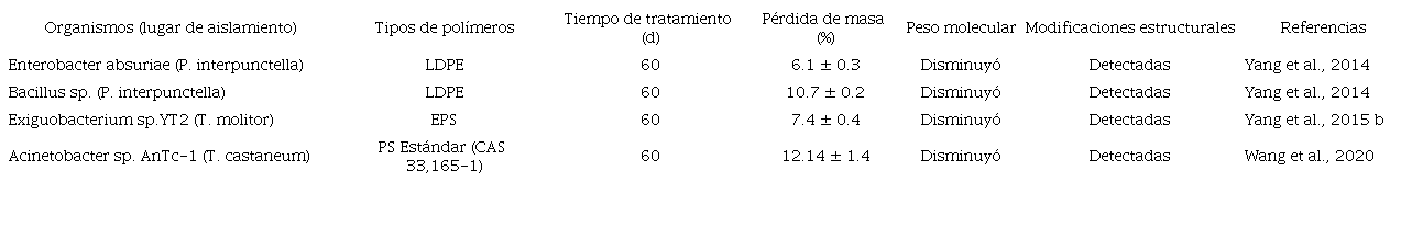 Degradaci&oacute;n de pl&aacute;sticos por bacterias ent&eacute;ricas