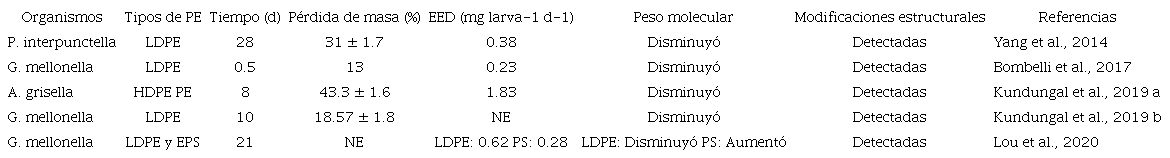 Degradaci&oacute;n de pol&iacute;meros pl&aacute;sticos por larvas de la cera.