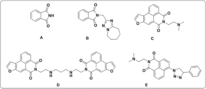 Chemical structure of phthalimide (A) and phthalimide analogs (B-E)
							with anticancer activity. Figure designed by the authors.