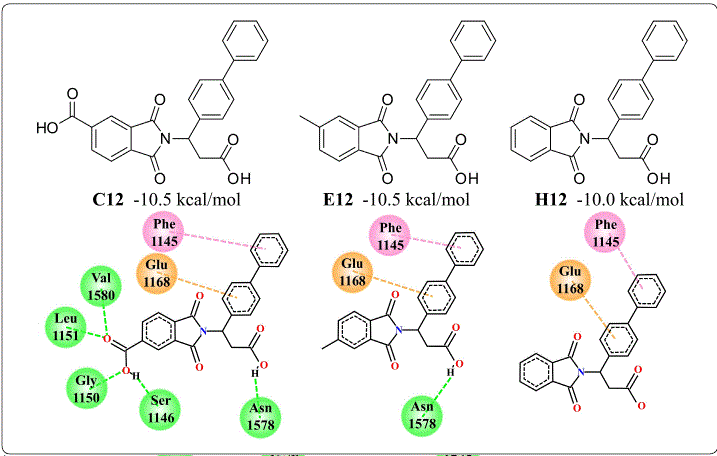 Structure and interactions of the compounds C12, E12 and H12 with
								a biphenyl group on the active site of DNMT1. This substructure
								showed to be the main source of energetic contribution to the
								affinity of the phthaloyl derivatives with DNMT1. Interactions are
								shown in green for hydrogen bonds, pink for π-stacking and orange
								for cation-π. Figure designed by the authors.