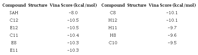 The top ten (free energy binding) of phthalimide derivatives on
								active site of DNMT1.