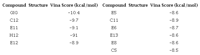 The top ten (free energy binding) of phthalimide derivaties on
								active site of VEGFR2
