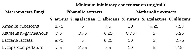 Minimum inhibitory concentration of the ethanolic and methanolic
extracts of four macromycete fungi from Chihuahua.