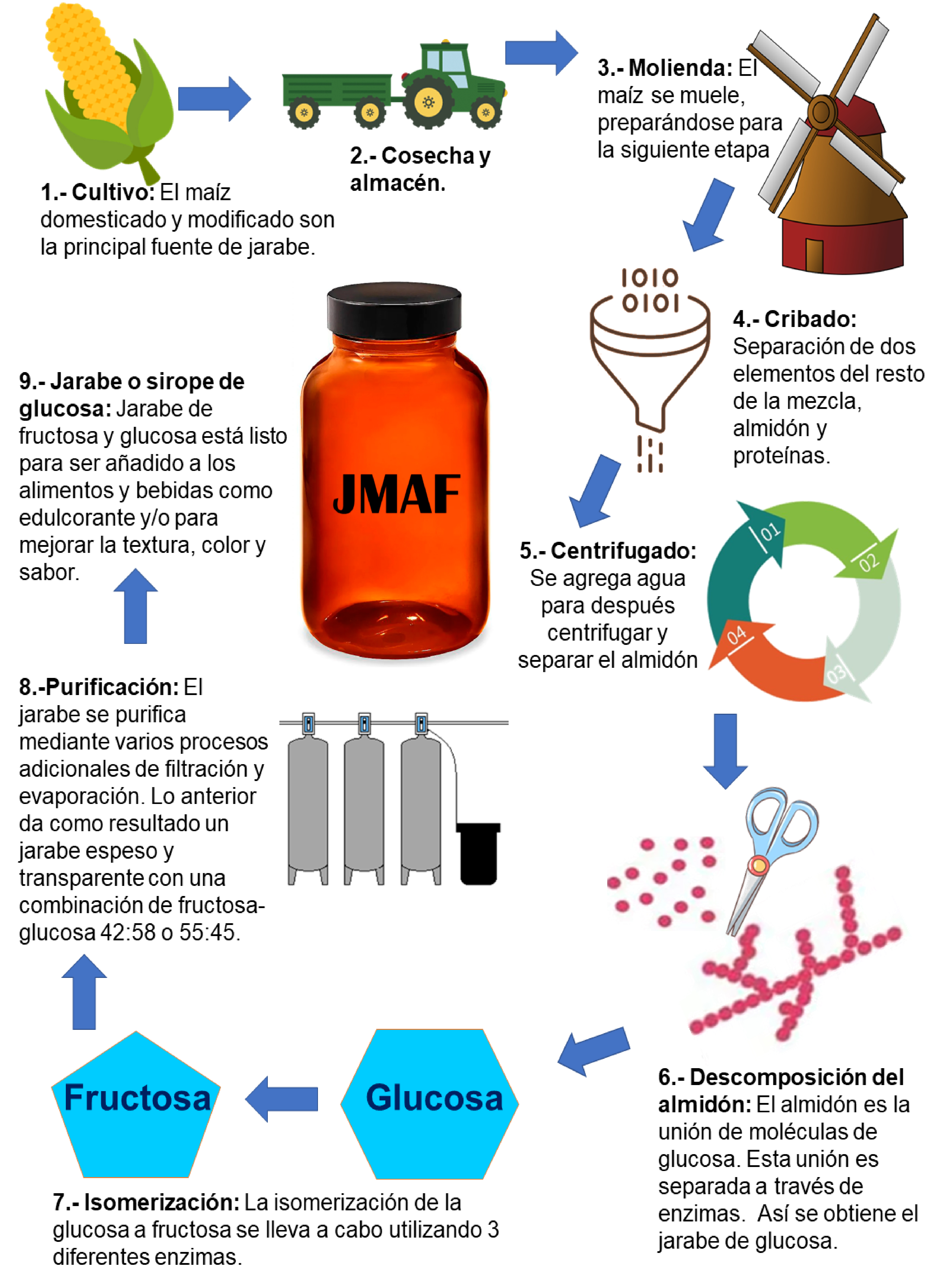 Proceso de obtenci&oacute;n del jarabe de ma&iacute;z alto en fructosa. Proceso que
							describe los pasos para la obtenci&oacute;n del jarabe de ma&iacute;z alto en
							fructosa. Modificado de Garc&iacute;a, Quintero
								& L&oacute;pez-Mungu&iacute;a (2004).