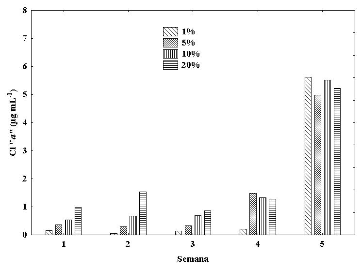 Producción de clorofila a (Cl “a”)
del bioencapsulado de Fischerella sp. con diferentes
concentraciones del inóculo: 1%, 5%, 10% y 20%; durante cinco semanas de
cultivo.