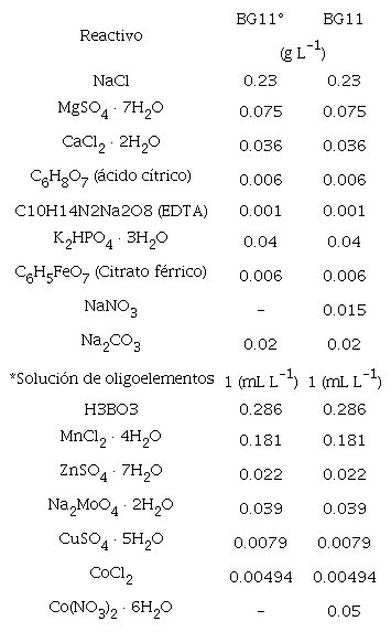 Medio de cultivo para el crecimiento de Fischerella
sp., BG11 (con nitrógeno) y BG11° (sin nitrógeno), en el ensayo de
bioencapsulados vs células libres.
