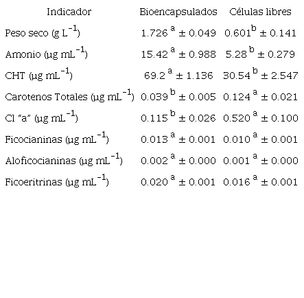 Concentración de diferentes indicadores en la cinética de
Fischerella sp. bioencapsulada vs
células libres. Los valores son el promedio de 64 registros ± la
desviación estándar. Letras iguales no existe diferencia significativa;
letras diferentes existe diferencia significativa.