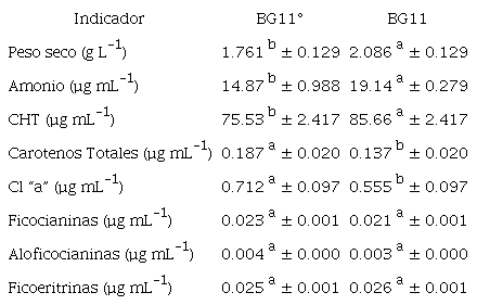 Concentración de diferentes indicadores en la cinética de
Fischerella sp. en medio de cultivo sin nitrógeno
(BG11°) y medio de cultivo con nitrógeno (BG11). Los valores son el
promedio de 64 registros ± la desviación estándar. Letras iguales no
existe diferencia significativa; letras diferentes existe diferencia
significativa.
