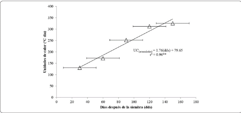 Unidades de calor acumuladas, para tres cultivares de frijol
ejotero (Phaseolus vulgaris L.), en Tepanco de
López, Puebla. Ciclo invierno-primavera, 2018. UC, unidades de
calor; dds, días después de la siembra. **; significativo al
0.01.