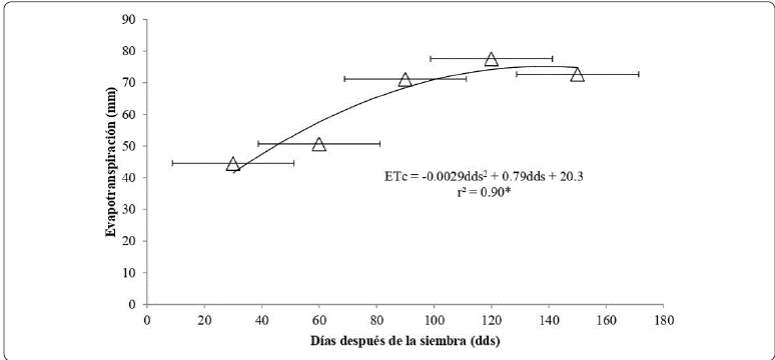 Evapotranspiración de tres cultivares de ejote (Phaseolus
vulgaris L.), en un clima de transición templado-seco,
en Tepanco de López, Puebla. Ciclo de cultivo invierno-primavera,
2018. ETc, evapotranspiración; dds, días después de la siembra. *;
significativo al 0.05