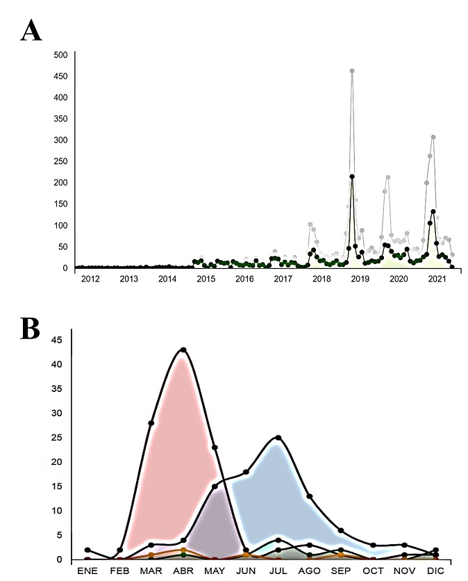 Recuentos observacionales y comportamiento fenológico de árboles de mezquite. (A) Recuentos observacionales de árboles de mezquite en México acumulados en los últimos diez años. Los puntos en verde representan recuentos en donde se identificó el género y especie, los puntos en gris representan recuentos en donde no se definió con certeza la especie. (B) Observaciones fenológicas mensuales de árboles de mezquite (en rosa: floración; en azul: fructificación; en verde: brotes florales y en naranja: no hay floración) para 4,655 registros totales. Gráficos generados en: inaturalist.org (iNaturalist, 2021).