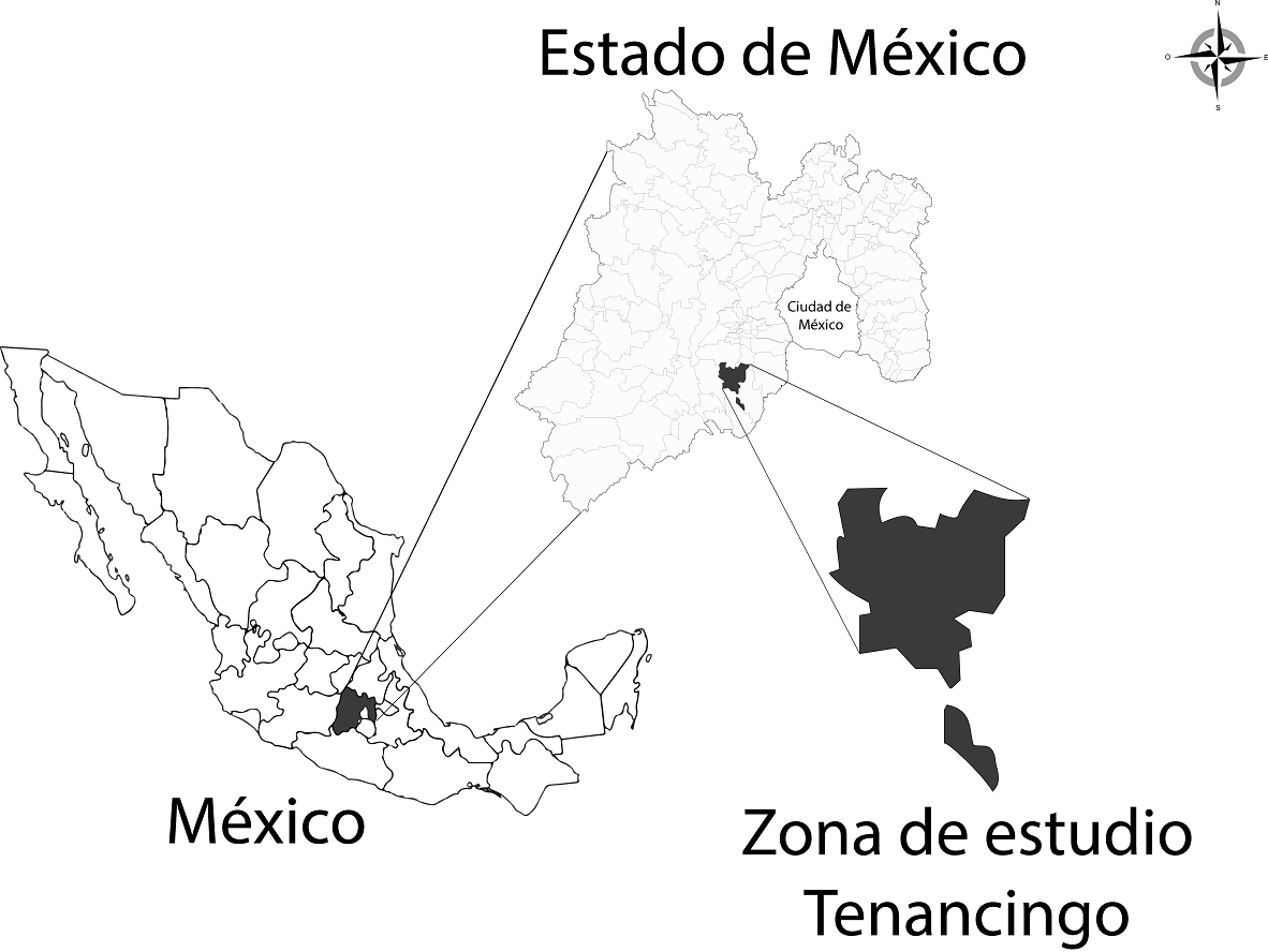 Location of Santa Ana Ixtlahuatzingo, community of the municipality of Tenancingo de Degollado (Saldívar-Iglesias, Laguna-Cerda, Esquivel-Álvarez & González-Esquivel, 2012).