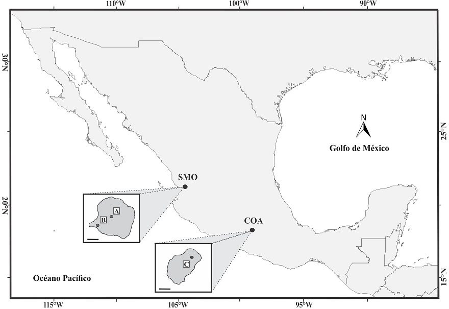 Localización geográfica de los lagos Santa María del Oro (SMO), Nayarit y Coatetelco (COA), Morelos. La escala en los recuadros equivale a 500 m. A. Núcleo MOLESMO03. B. Núcleo SMO02V. C. Núcleo COA15.