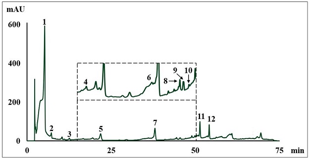 Cromatograma del extracto de Jatropha cardiophylla a 278 nm. Los n&uacute;meros corresponden al compuesto fen&oacute;lico listado en la Tabla I.