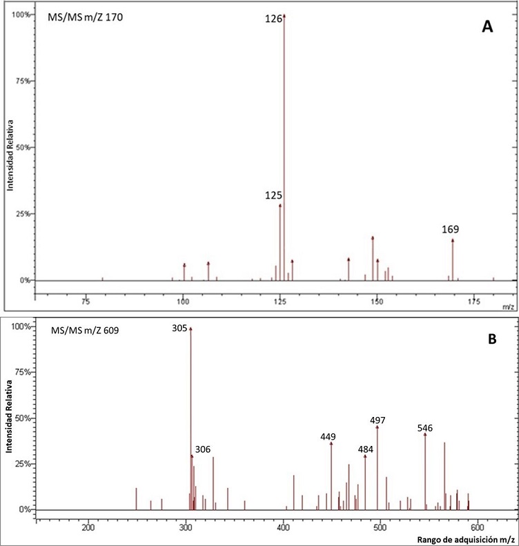 Ion fragmentado de dos compuestos fen&oacute;licos encontrados en la parte a&eacute;rea de J. Cardiophylla mediante espectrometr&iacute;a de masas (ESI-IT-MS / MS). (A) &Aacute;cido g&aacute;lico. (B) D&iacute;mero de [Epi] galocatequina.
