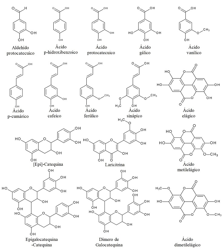 Estructura qu&iacute;mica de los compuestos fen&oacute;licos identificados por ESI-IT-MS-MS, presentes en el extracto etan&oacute;lico de la parte a&eacute;rea de Jatropha cardiophylla. Figuras construidas por Claudia Celeste Molina-Dom&iacute;nguez.